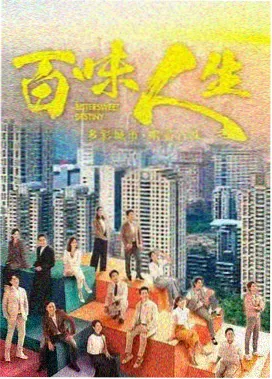 都市剧集长风渡口封面